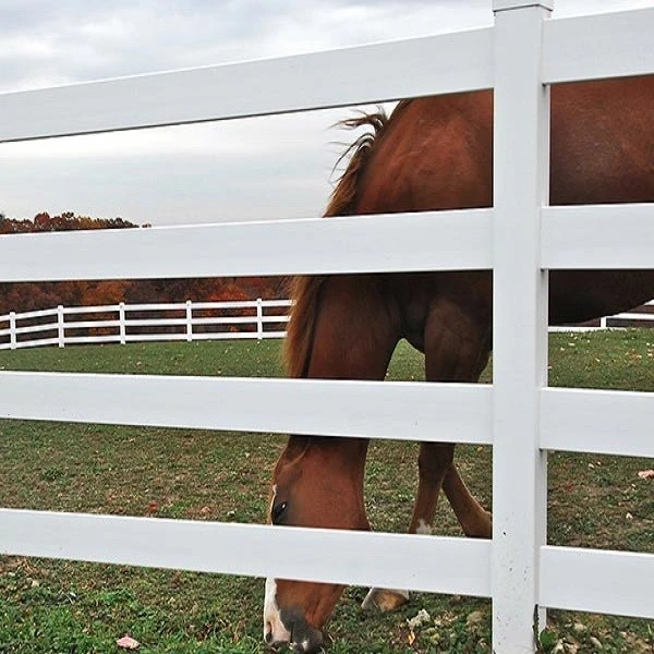 6 4 Rail White PVC Horse 6 4 Rail White PVC Horse